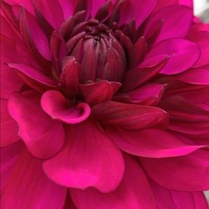 Meet your Posher, Marissa